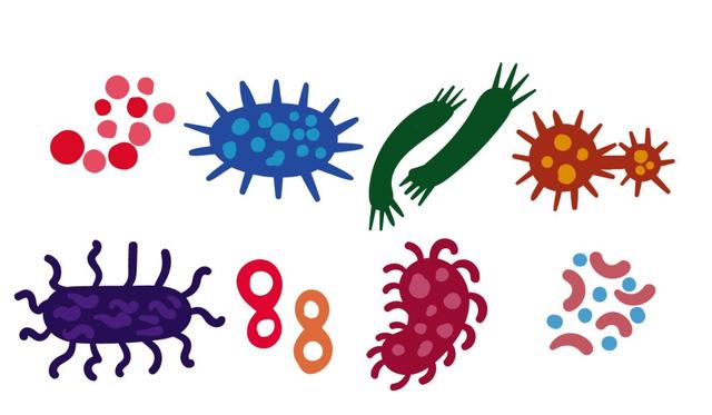 3分鐘科普，管道清洗到底是不是騙局？